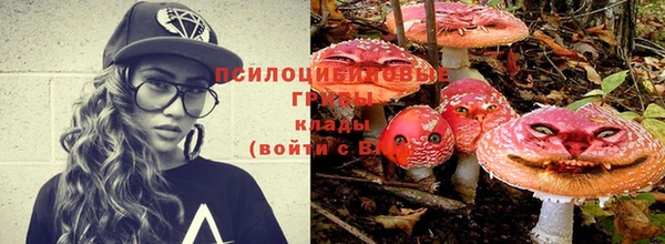 спайс Верея