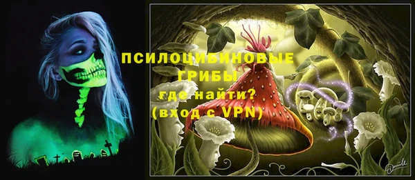 молекула духа Бородино