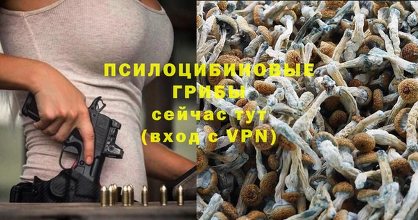 молекула духа Бородино