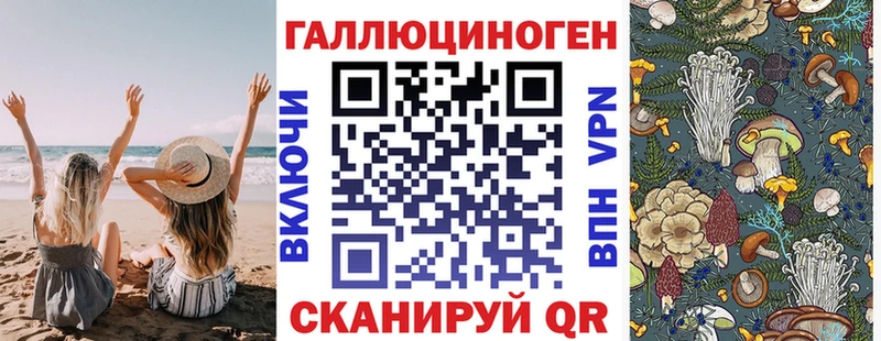 как найти Грайворон Галлюциногенные грибы мицелий