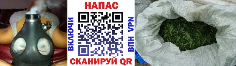 Бошки марихуана ГИДРОПОН  мега маркетплейс  Грайворон  цена наркотик 